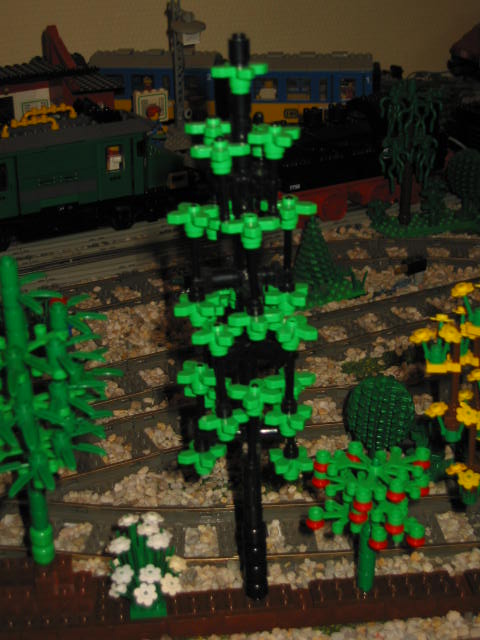 04.jpg