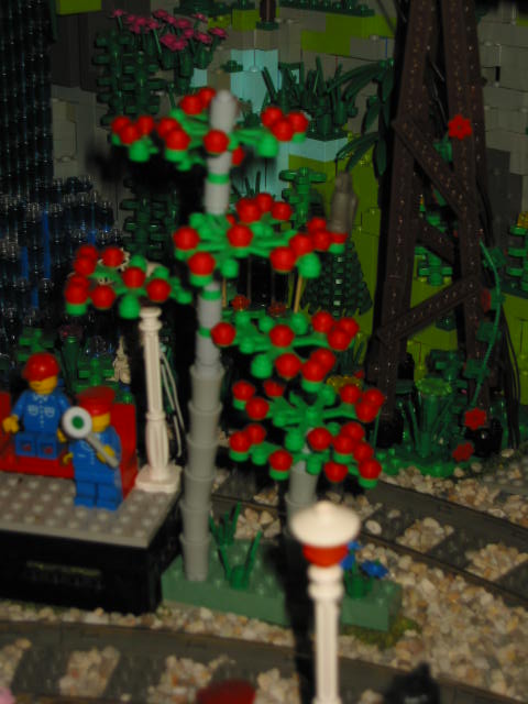 09.jpg