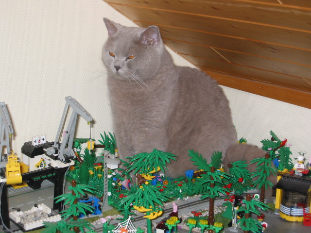 36.jpg