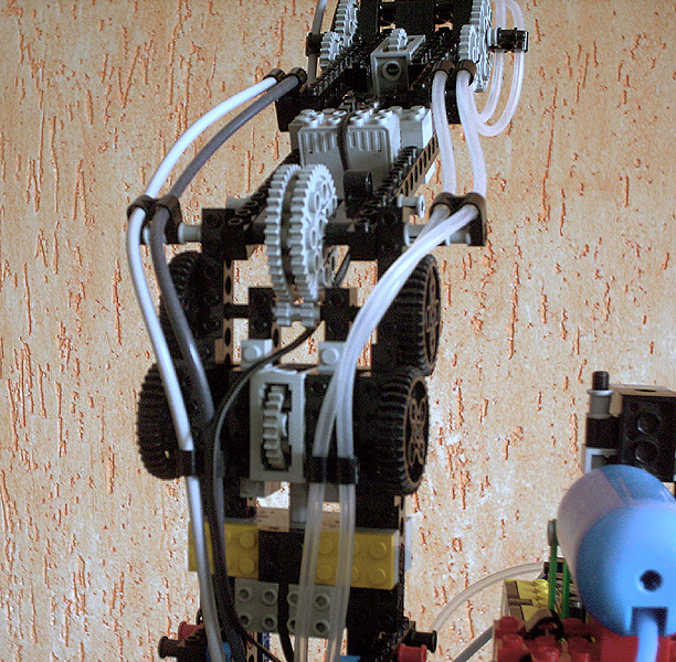 arm_07.jpg