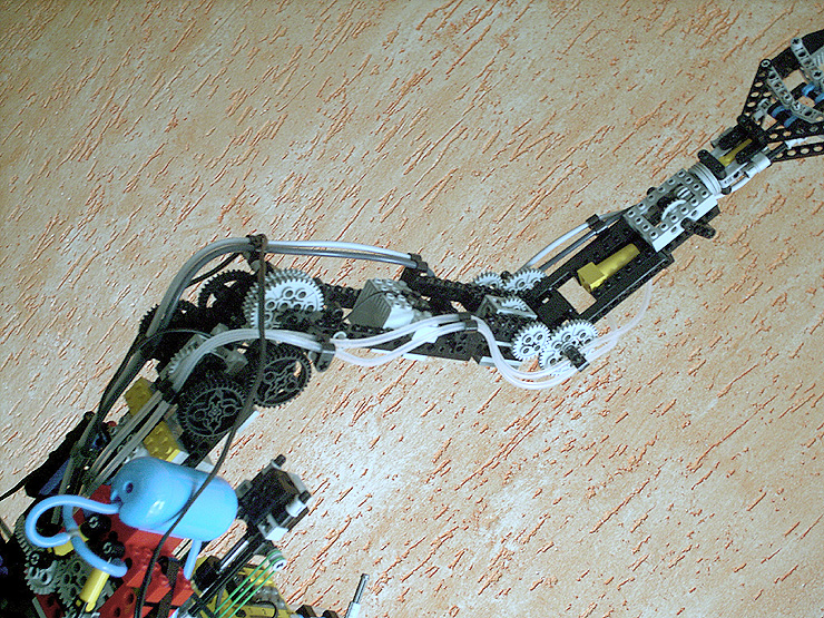 arm_10.jpg