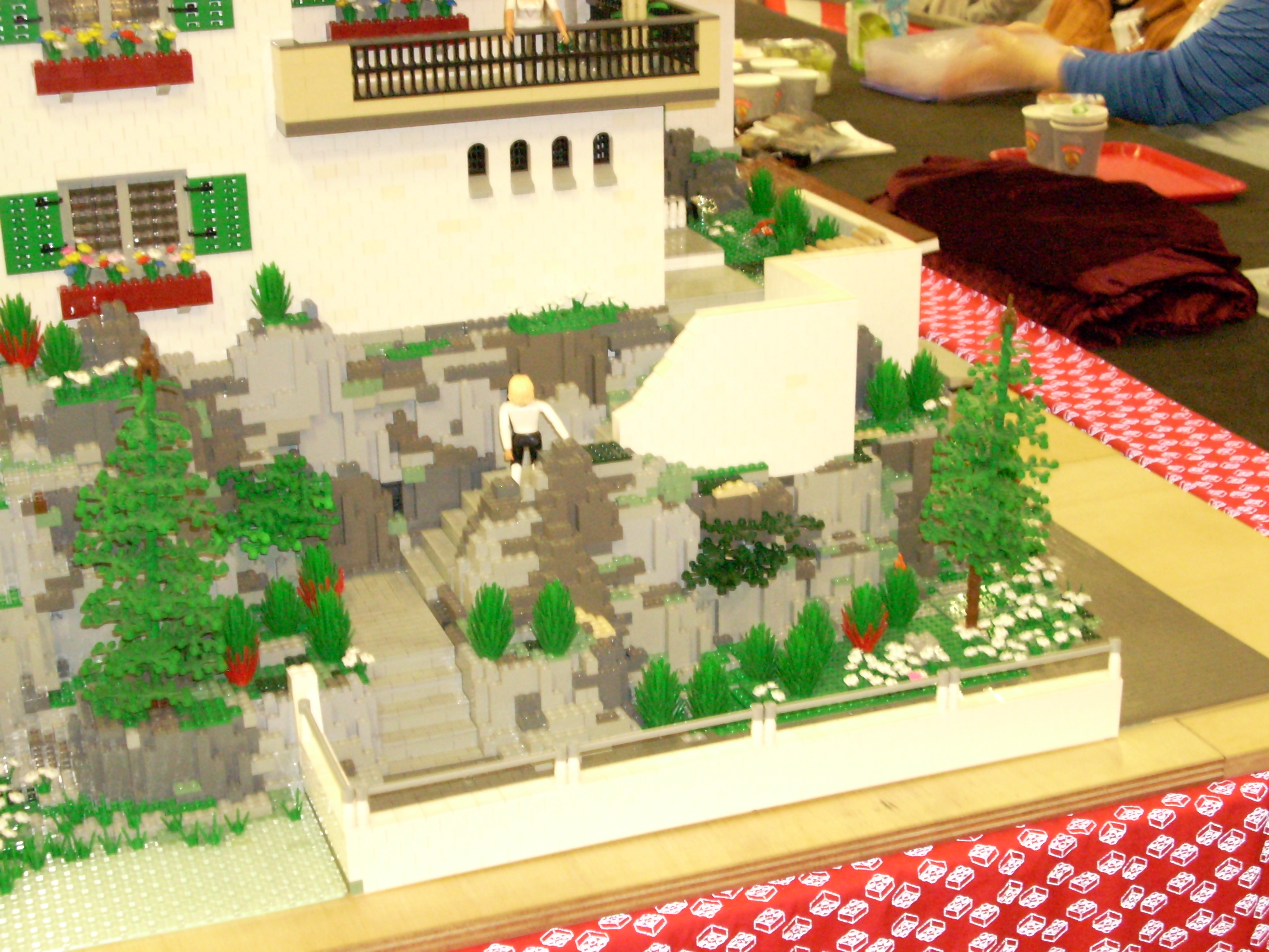 dscn0140.jpg