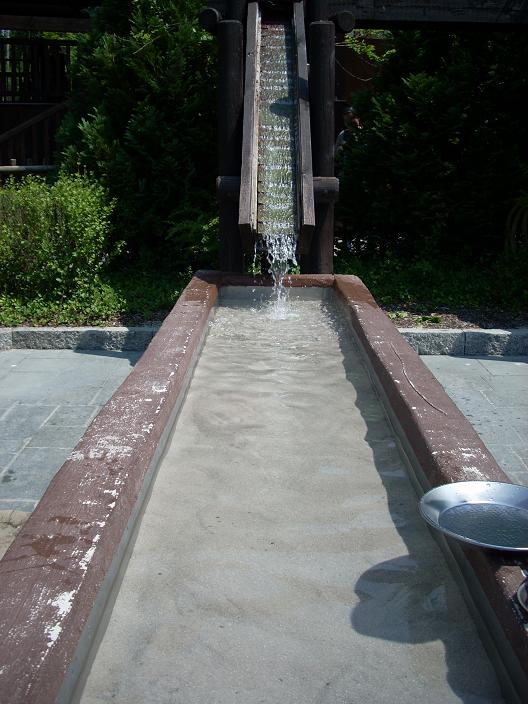 dscn6989.jpg