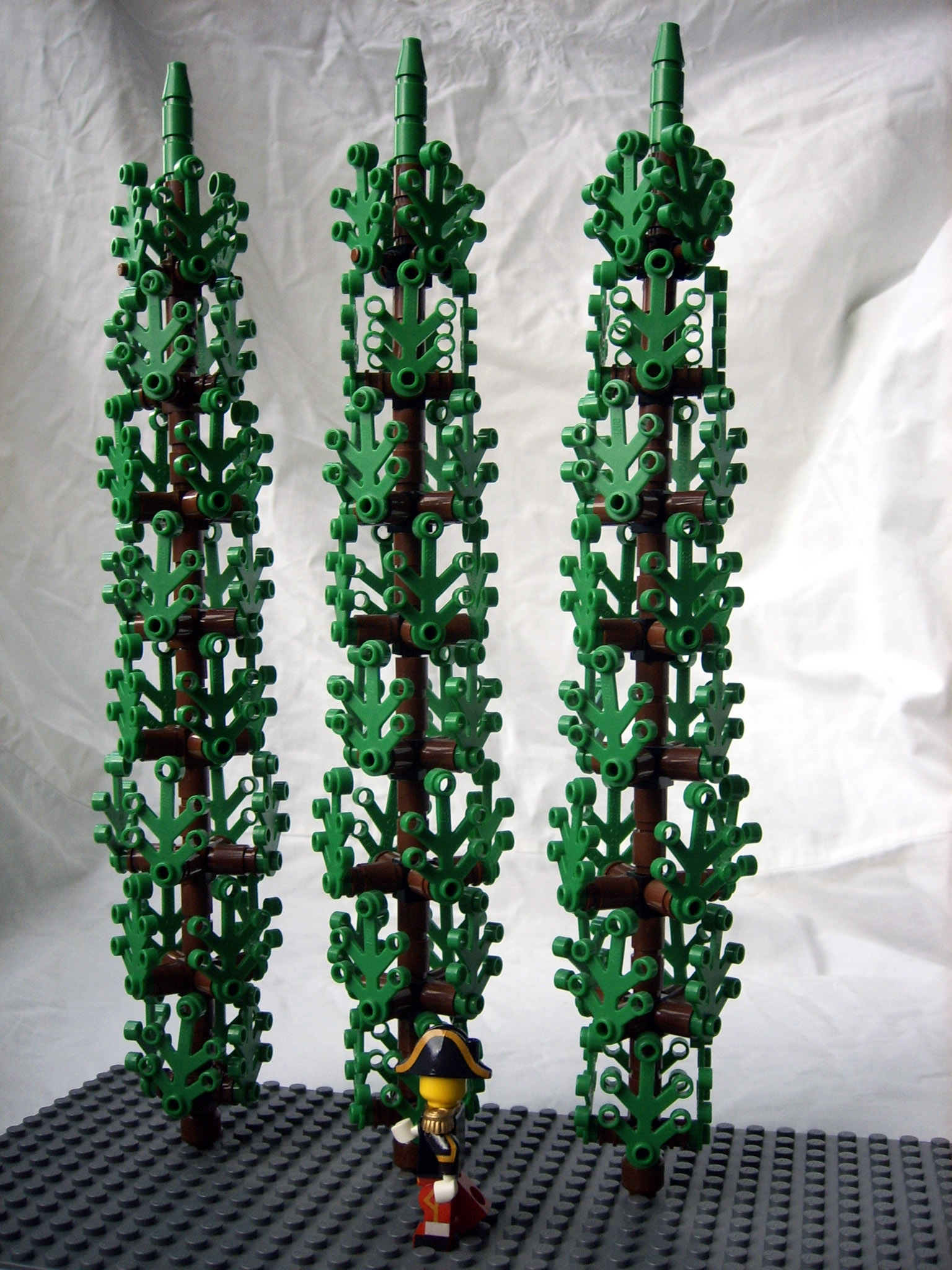 cypresses_05.jpg