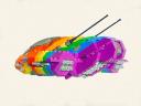 rainbow03.jpg
