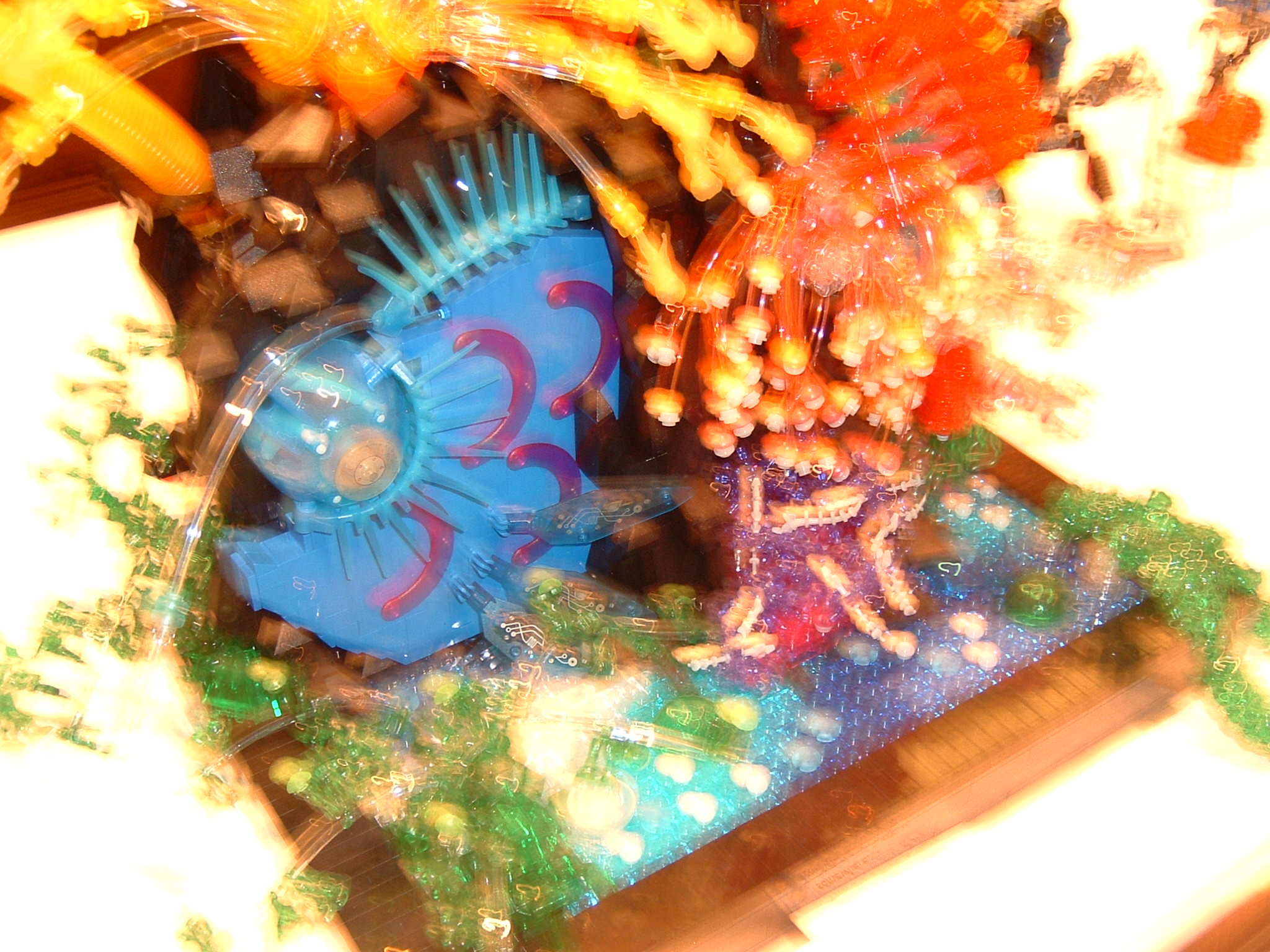 dscf0023.jpg