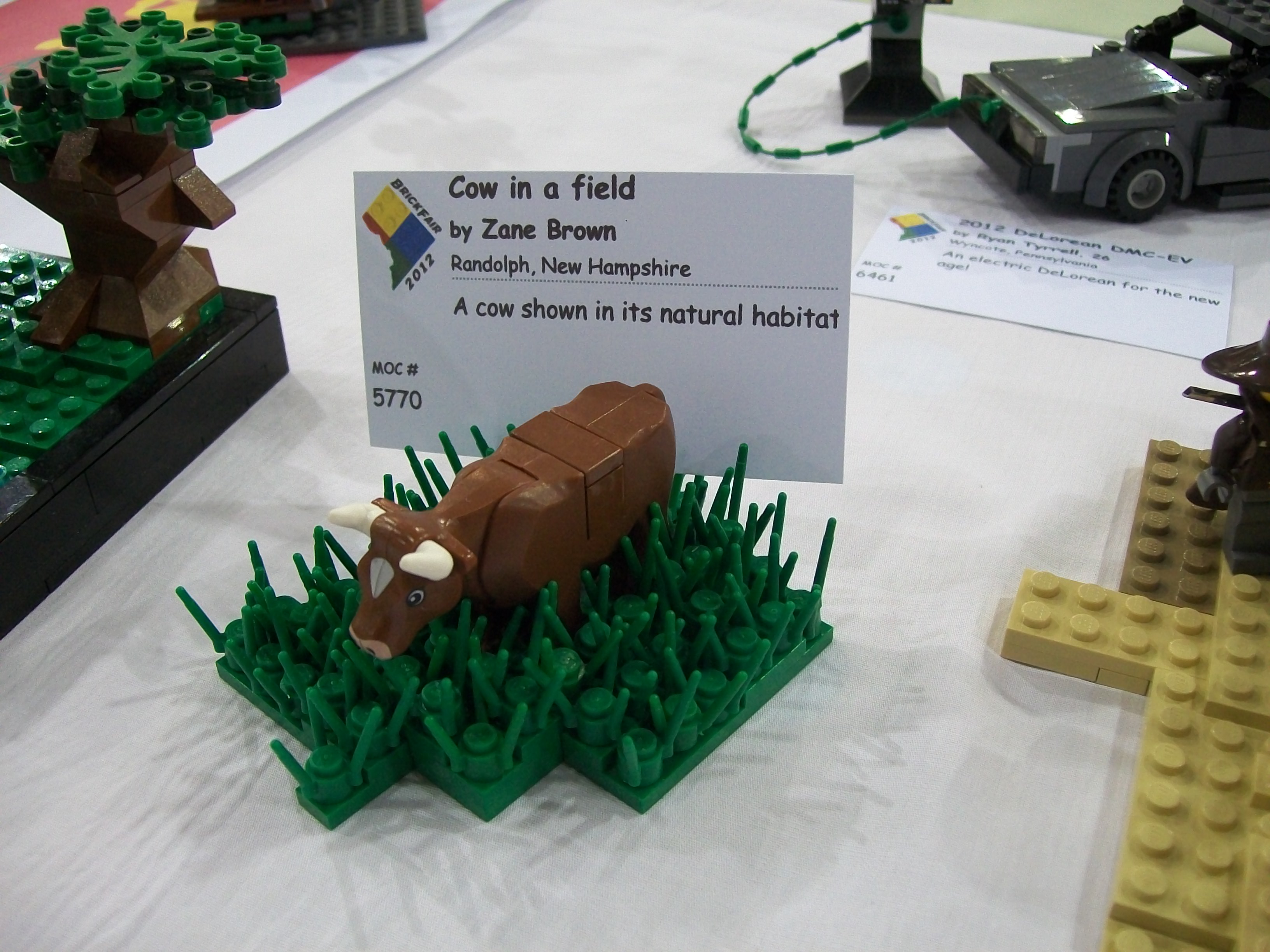bf12_092.jpg