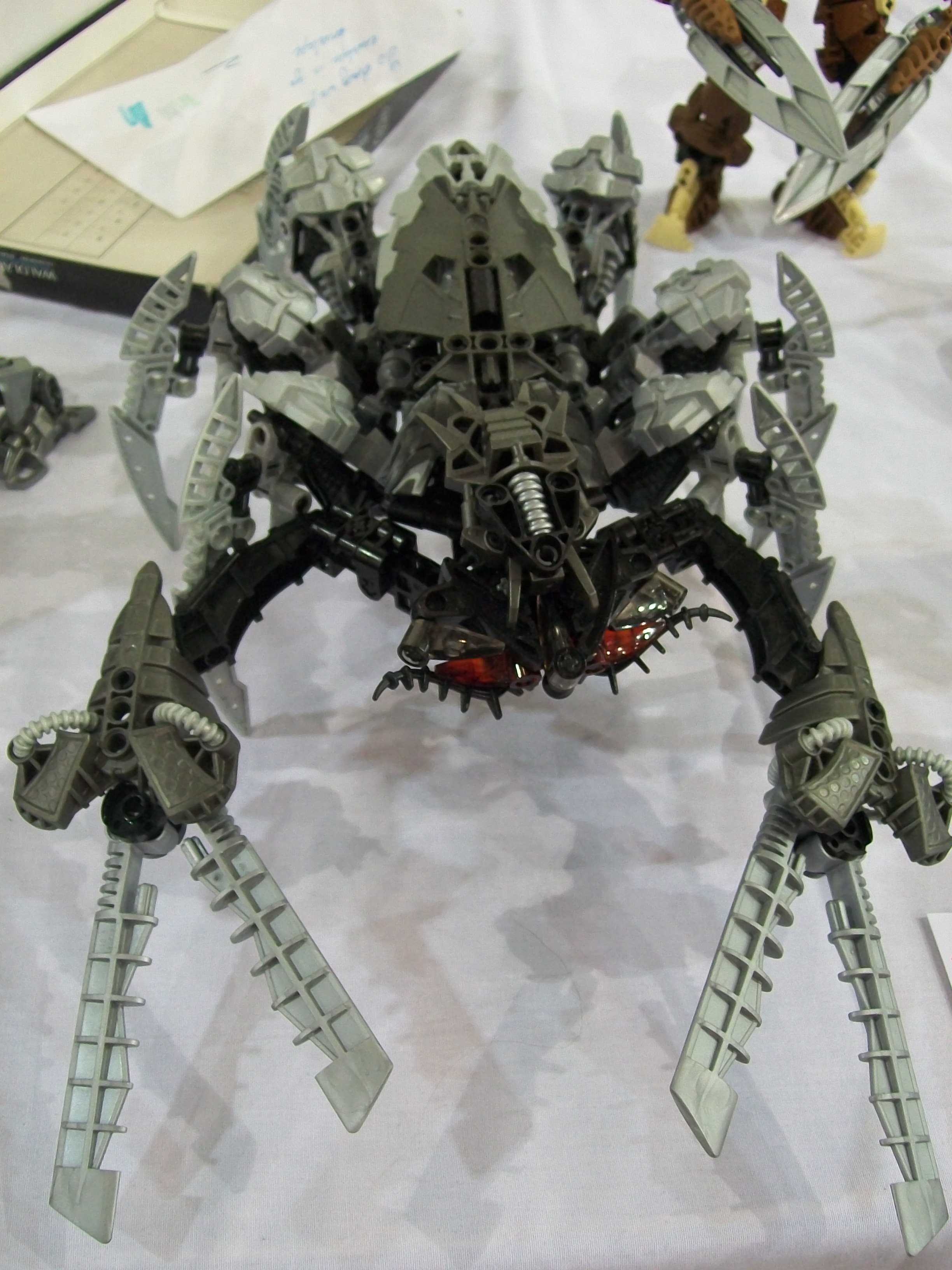 bf12_264.jpg