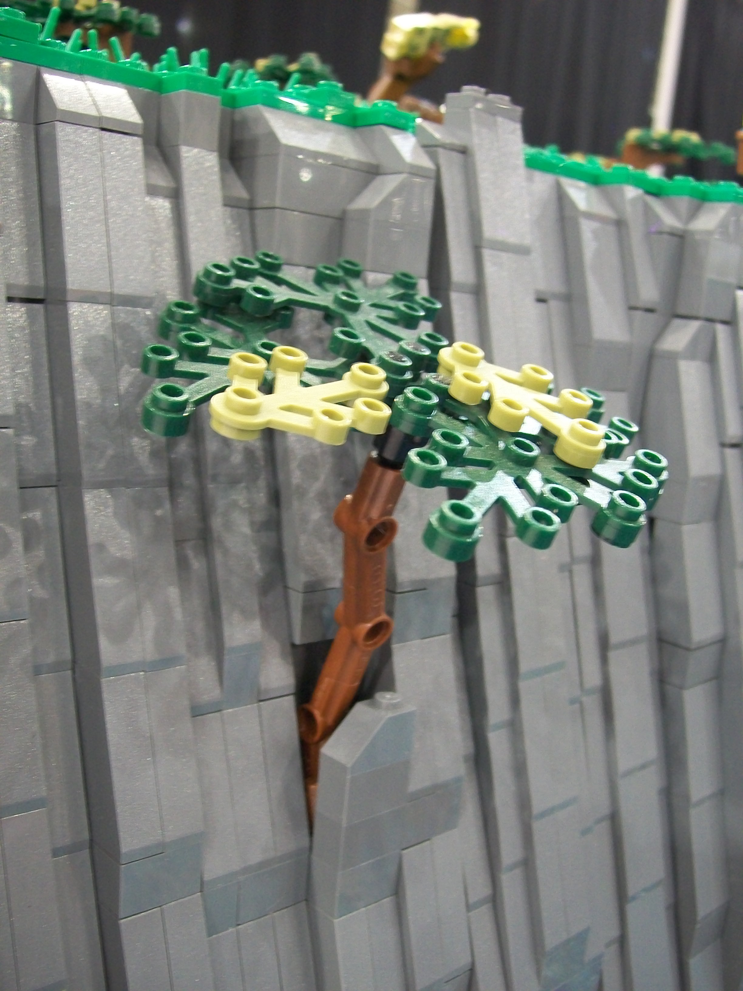 100_7713.jpg
