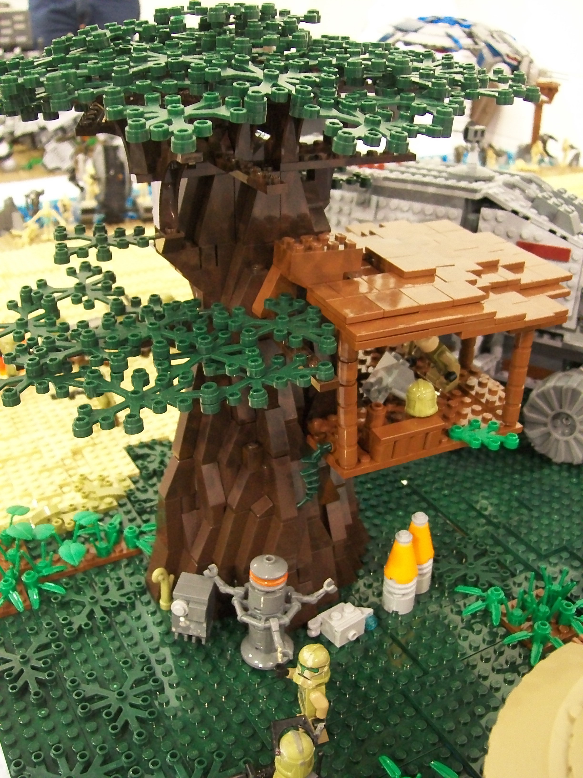 100_7772.jpg