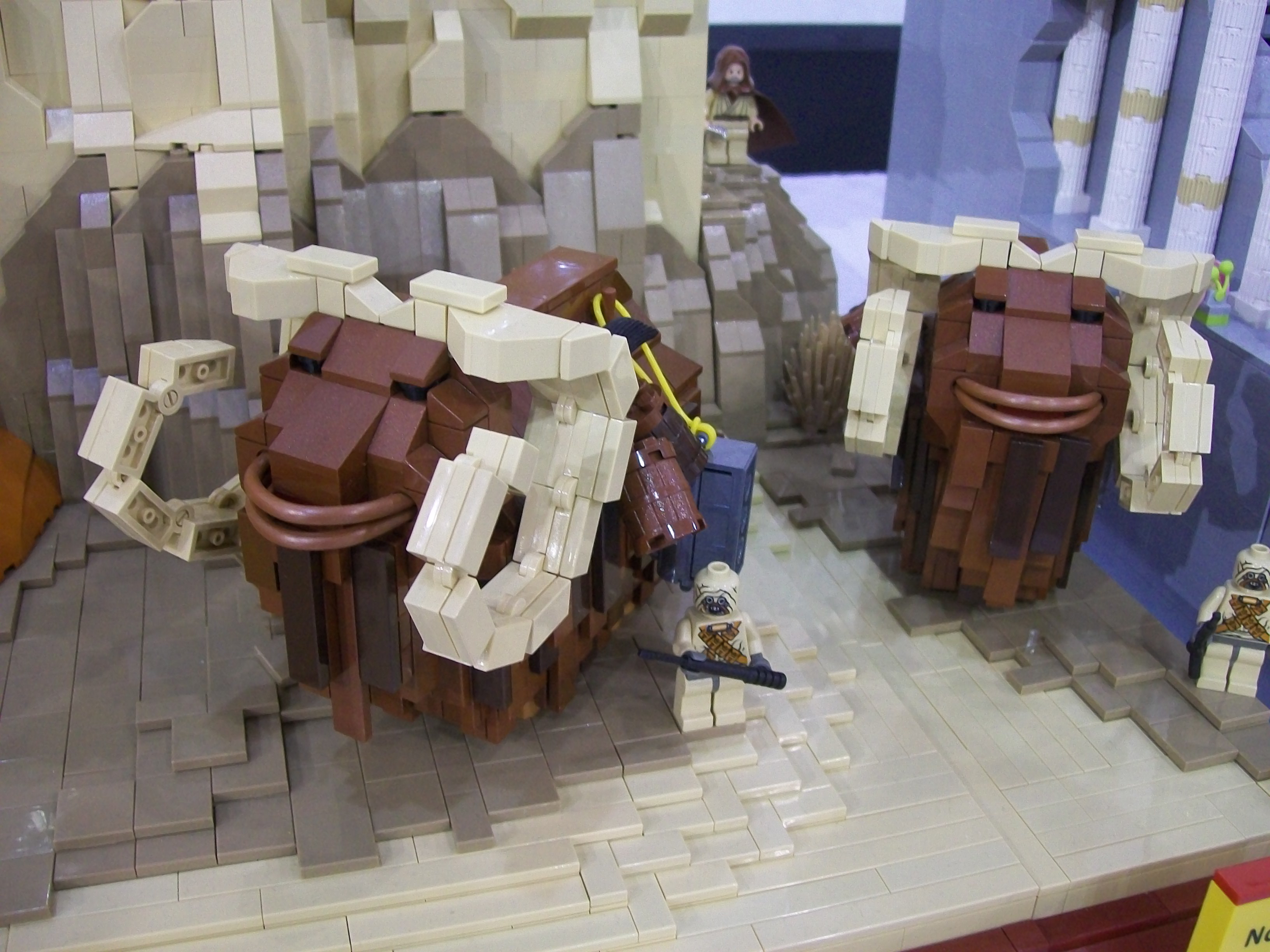 100_7789.jpg