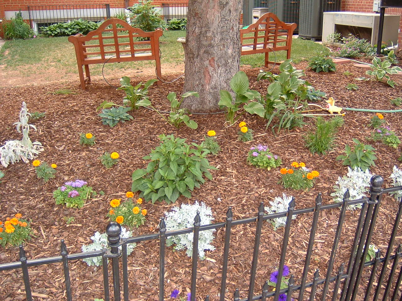dscf0088.jpg