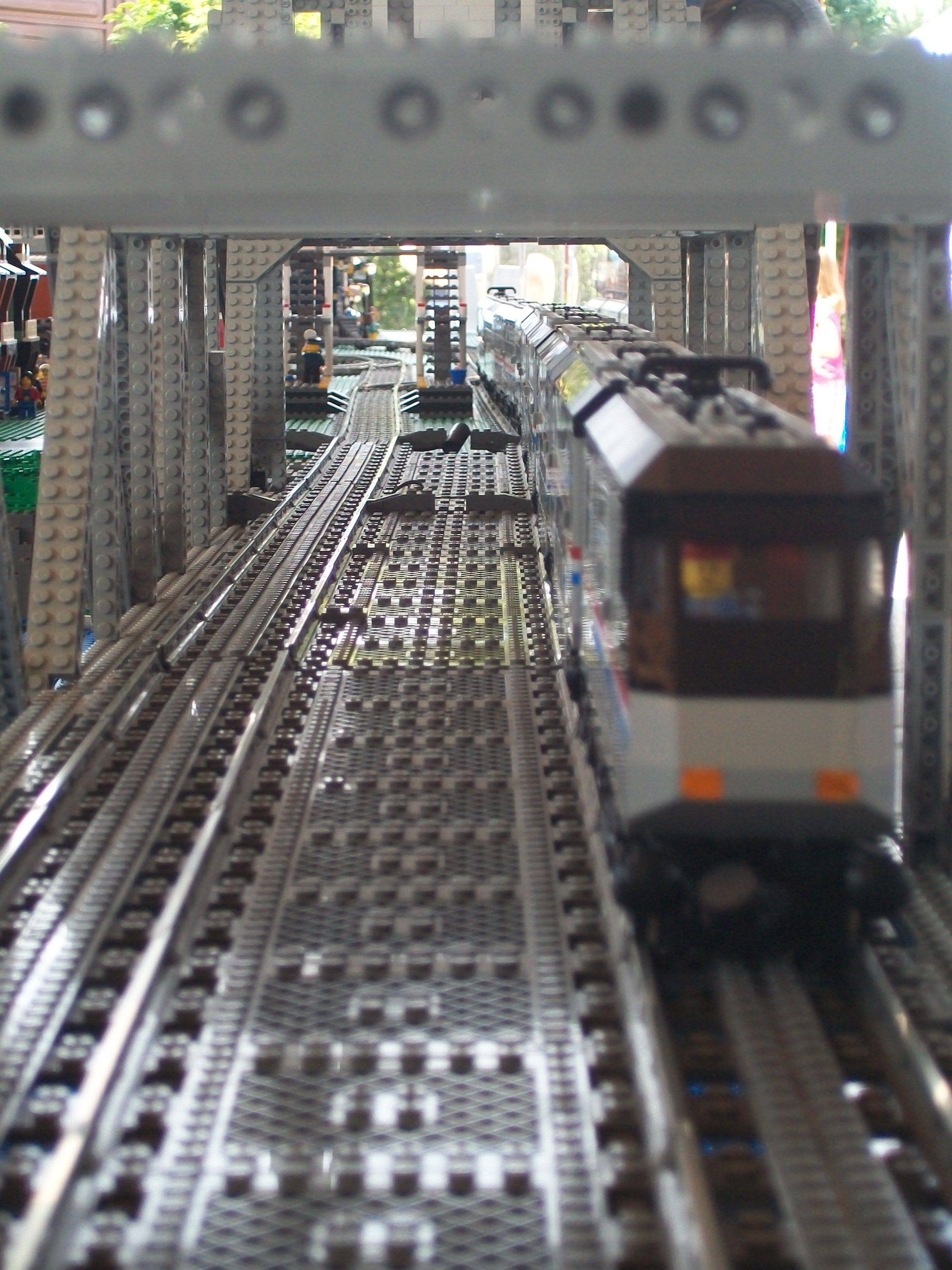 mas12065.jpg