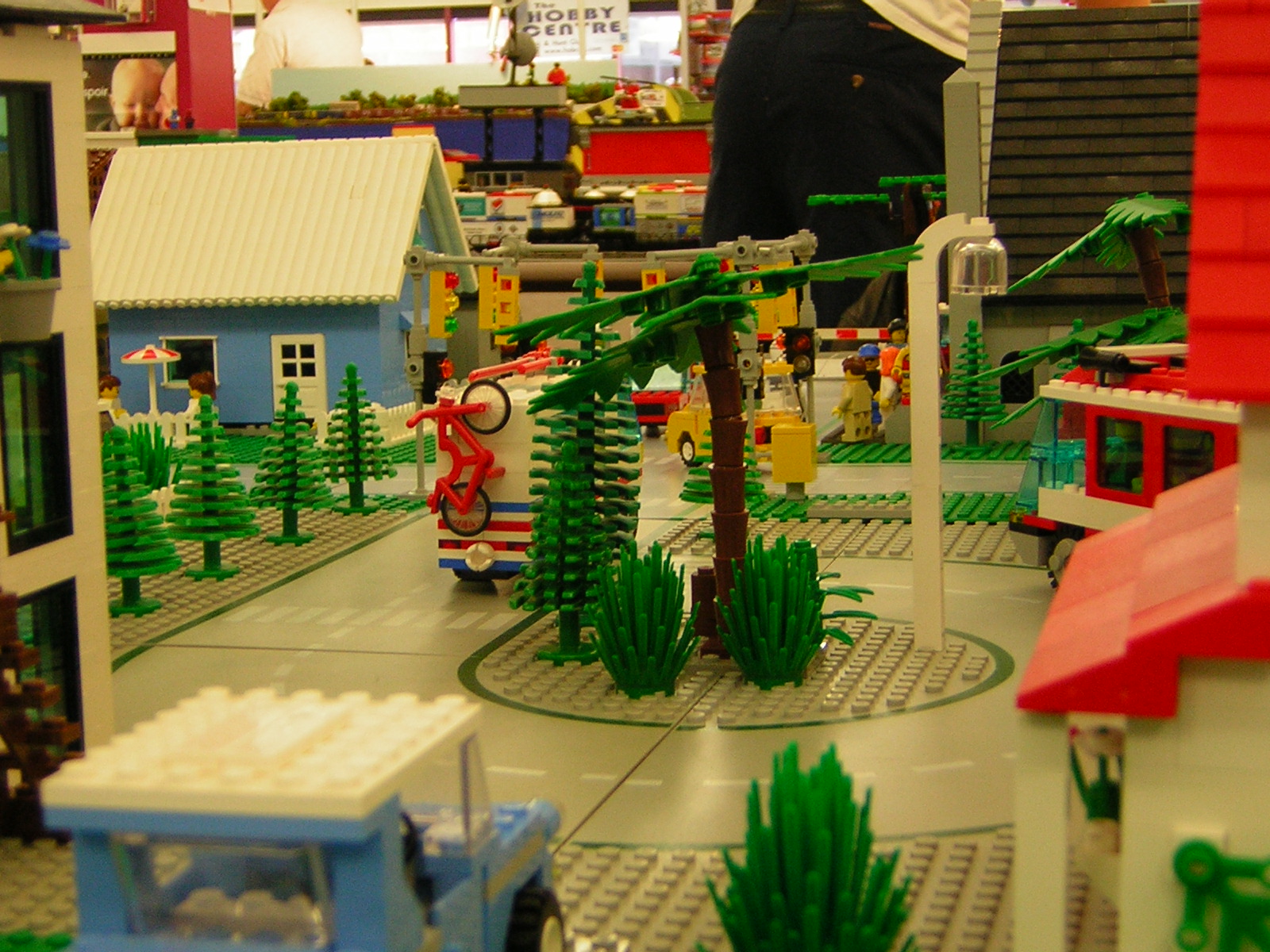 dscn1553.jpg