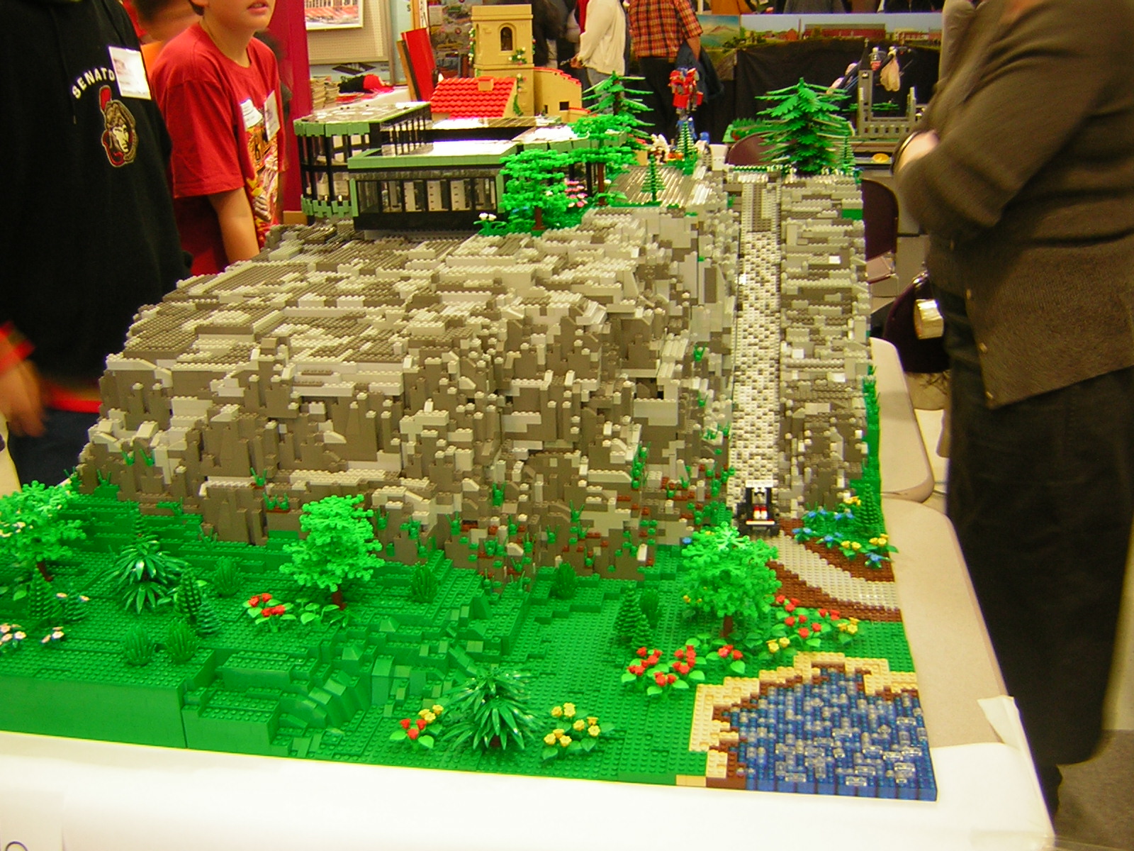 dscn4743.jpg