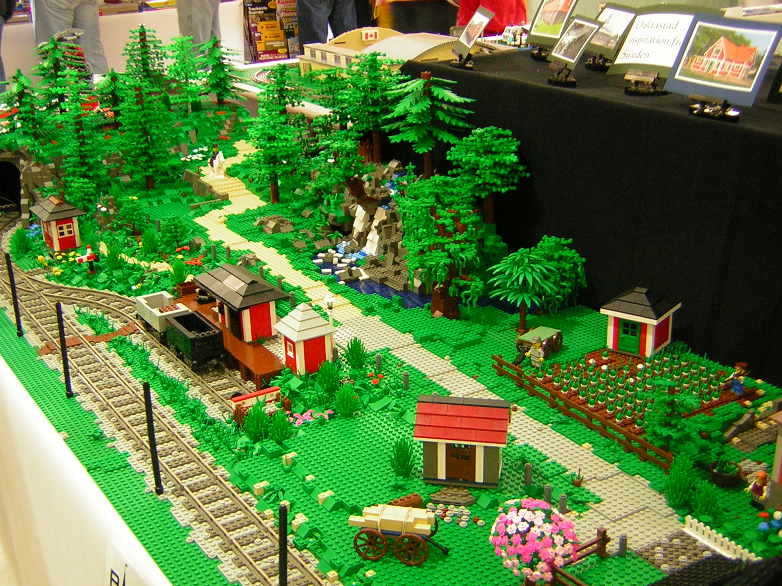 dscn4737.jpg
