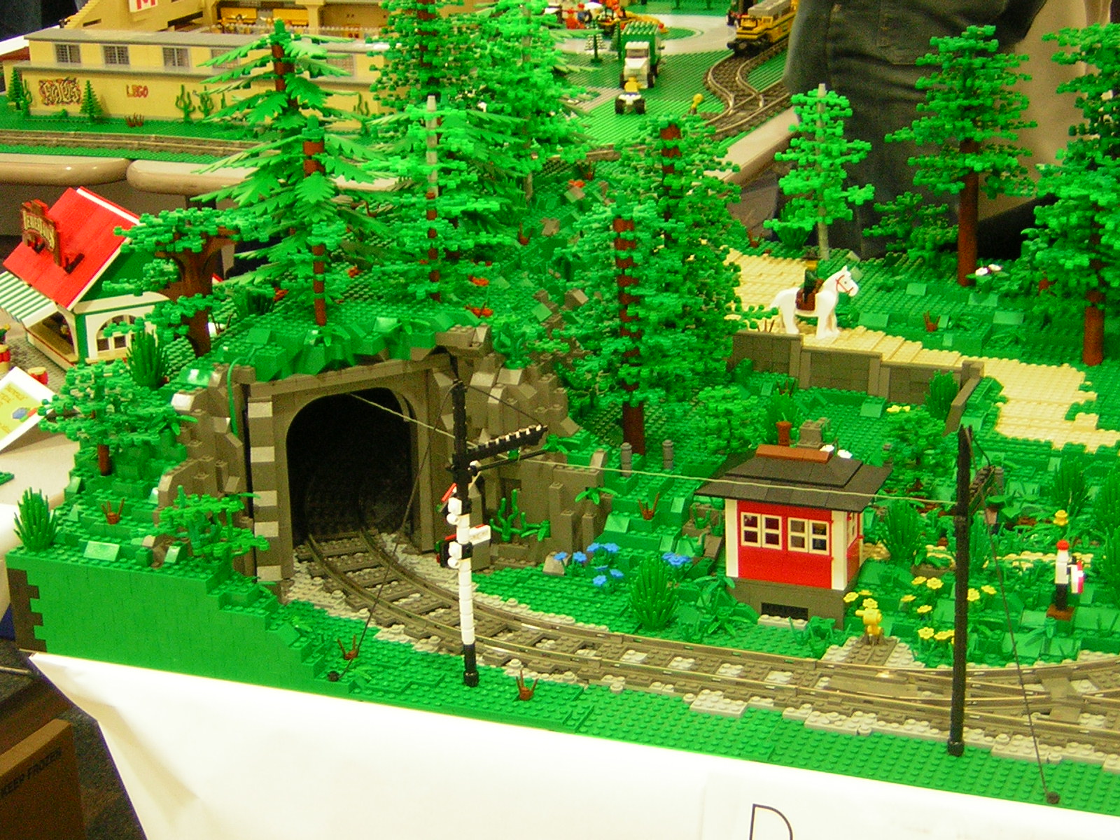 dscn4765.jpg