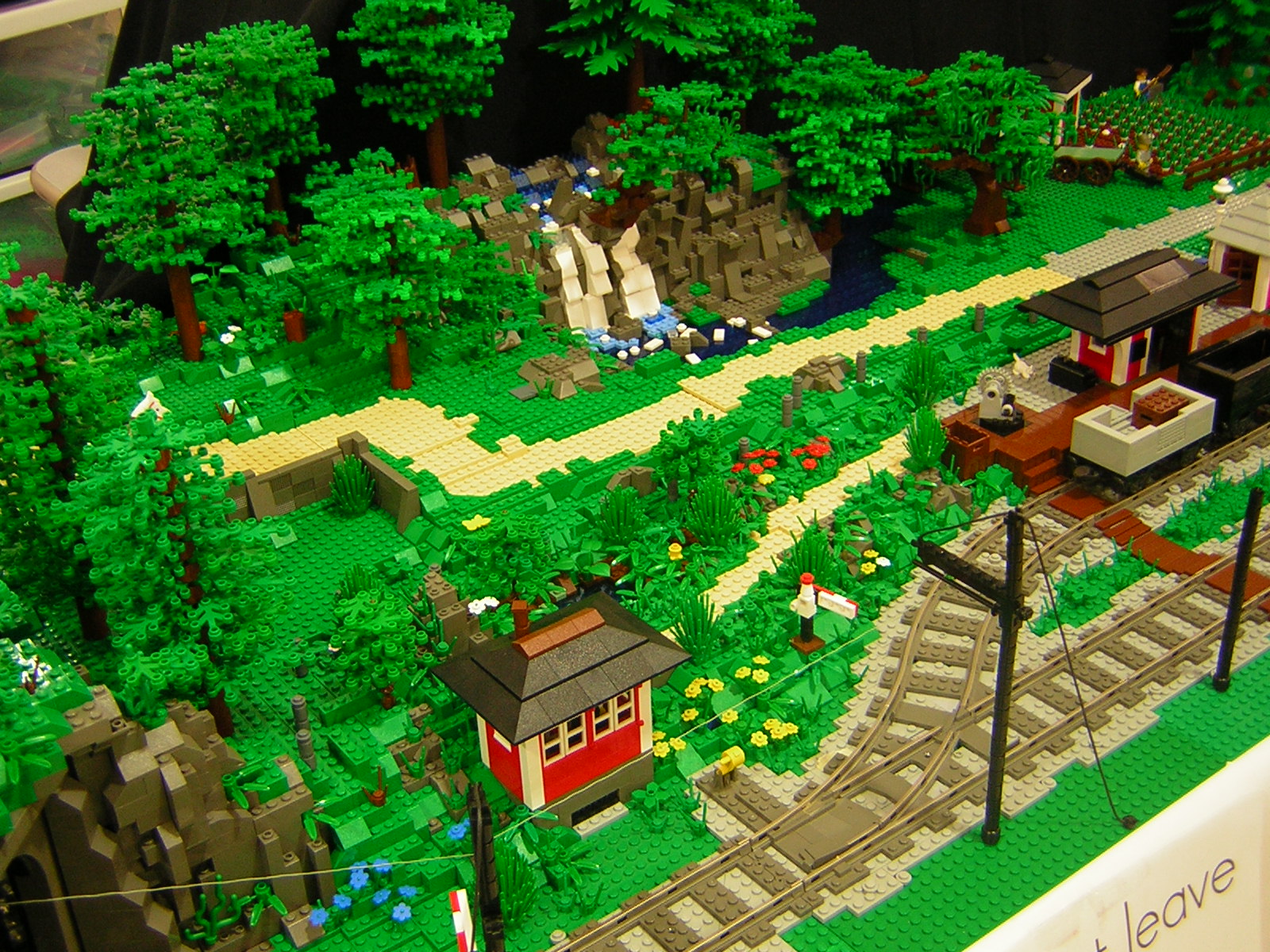 dscn4767.jpg