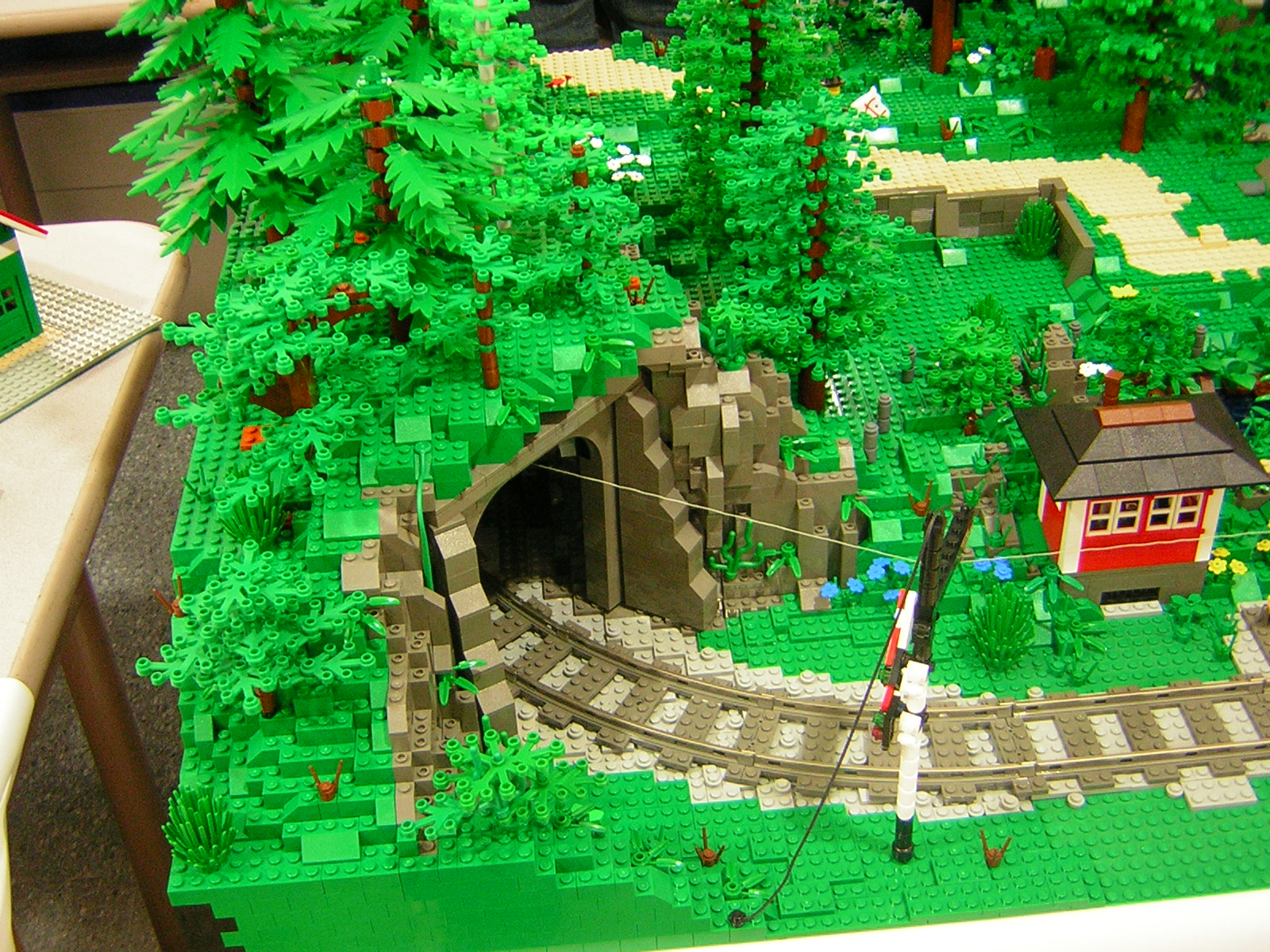 dscn4768.jpg