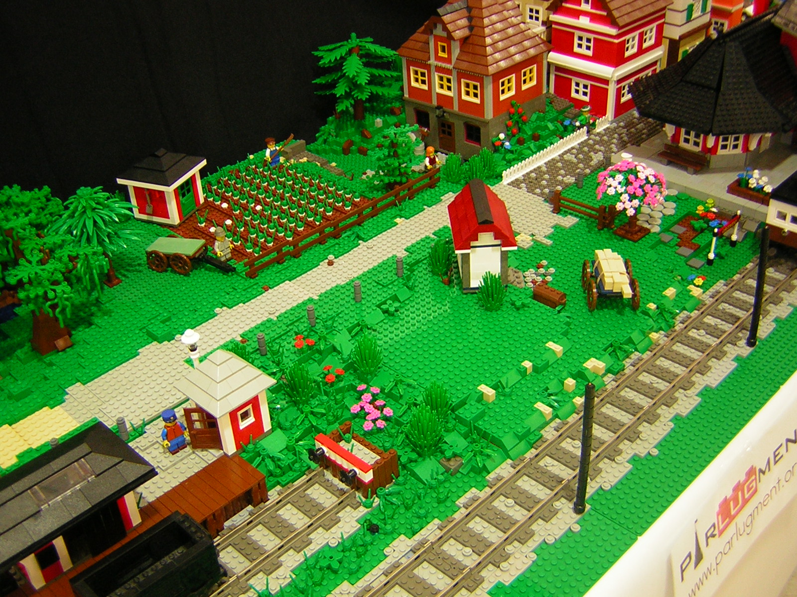 dscn4769.jpg