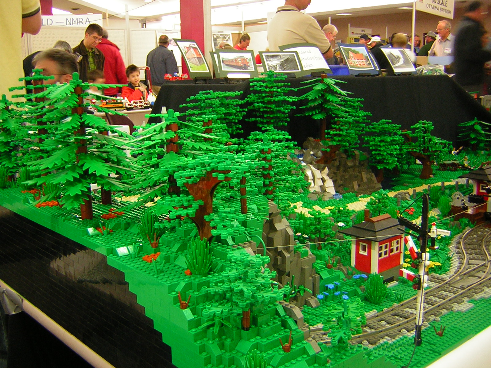 dscn4774.jpg