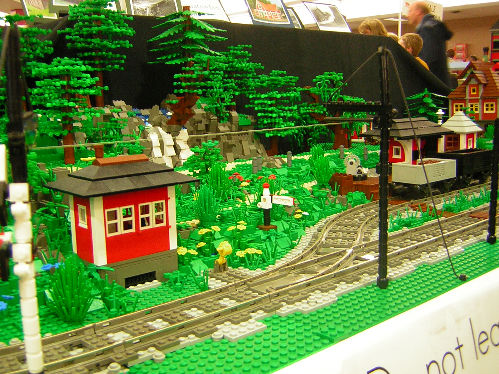 dscn4819.jpg