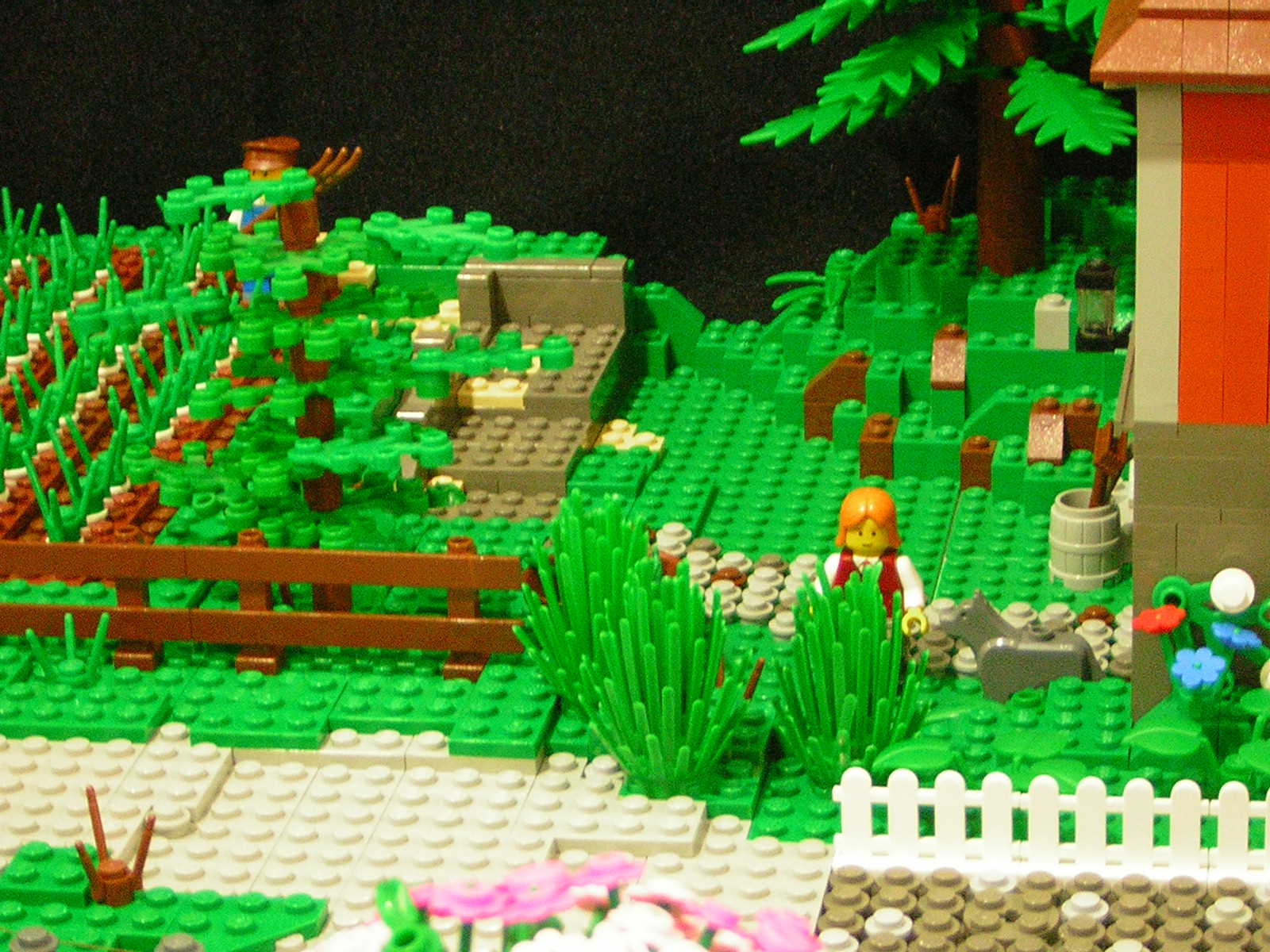 dscn4824.jpg