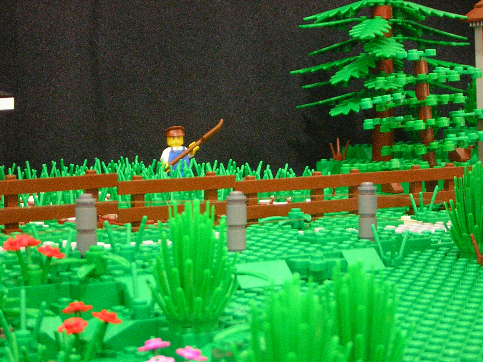 dscn4829.jpg