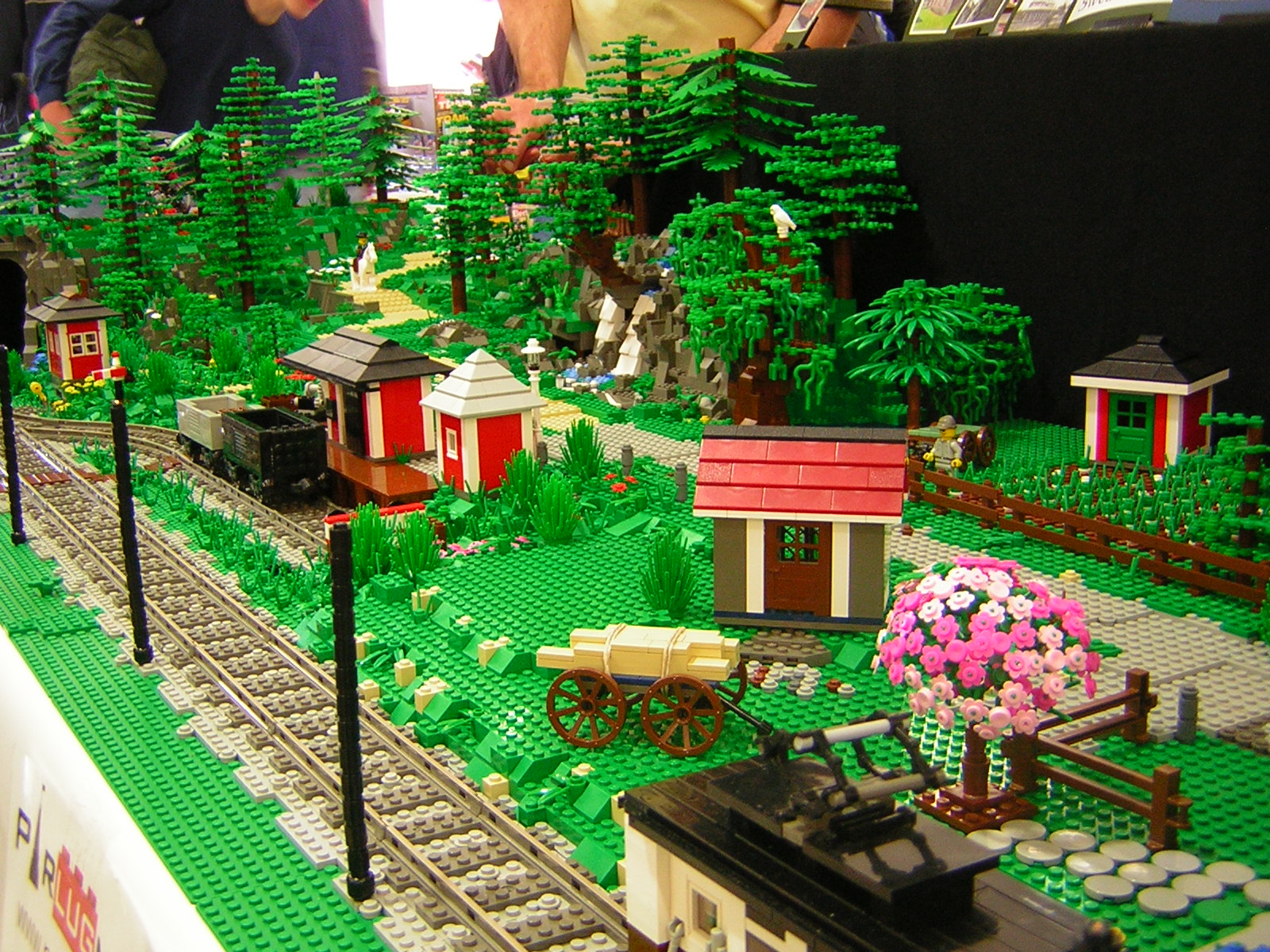 dscn4834.jpg