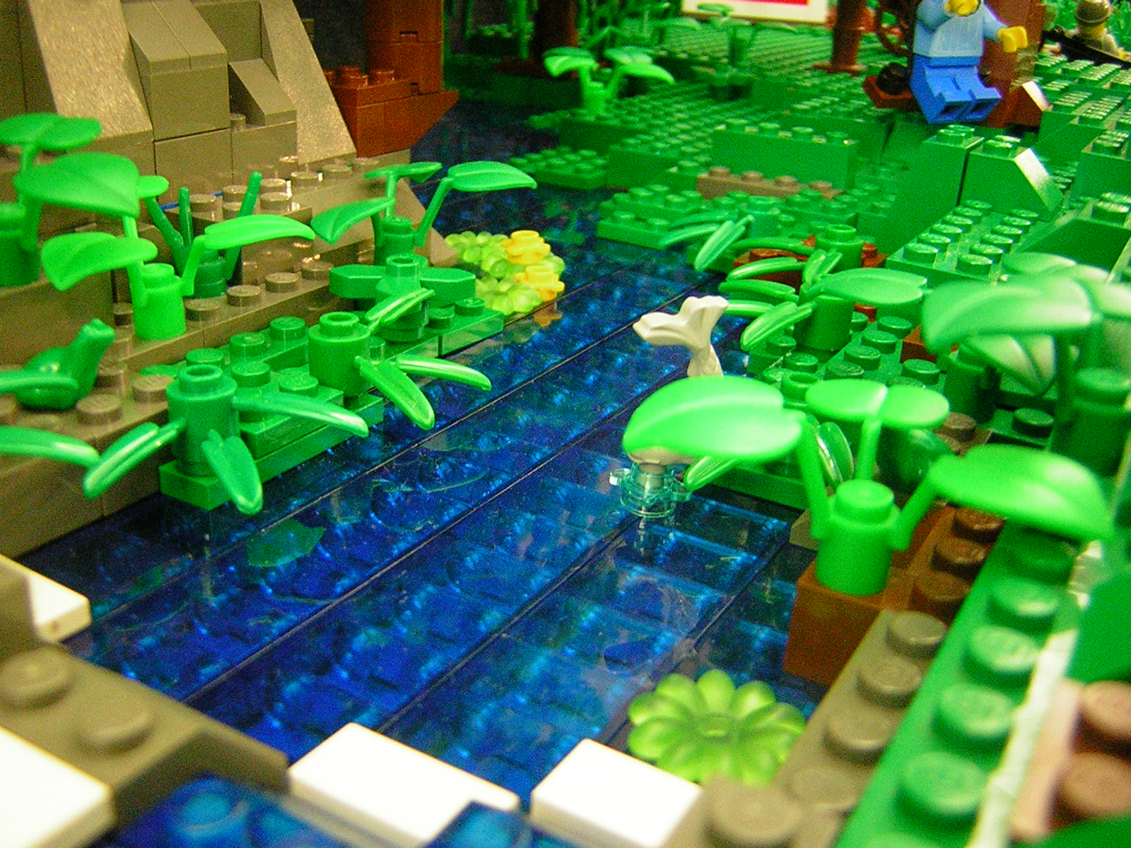 dscn4865.jpg