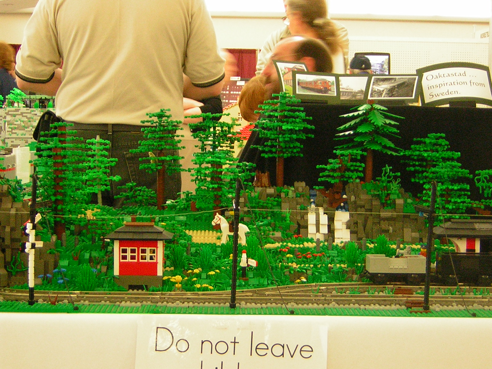 dscn4878.jpg