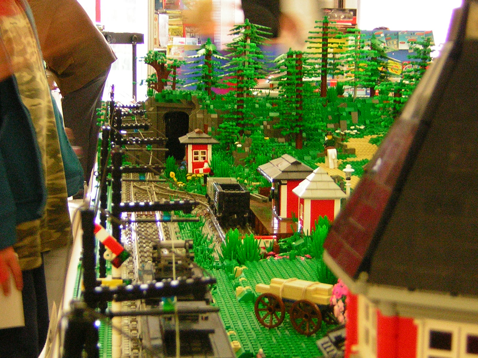 dscn4880.jpg