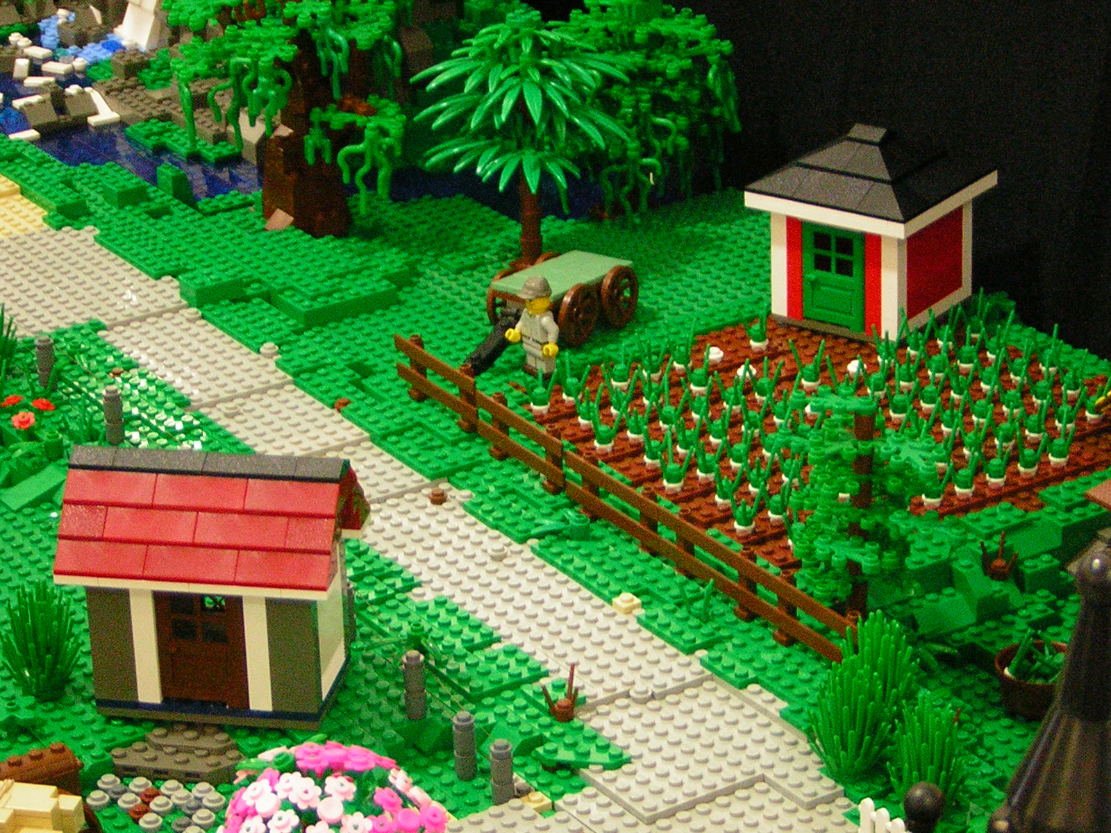 dscn4771.jpg