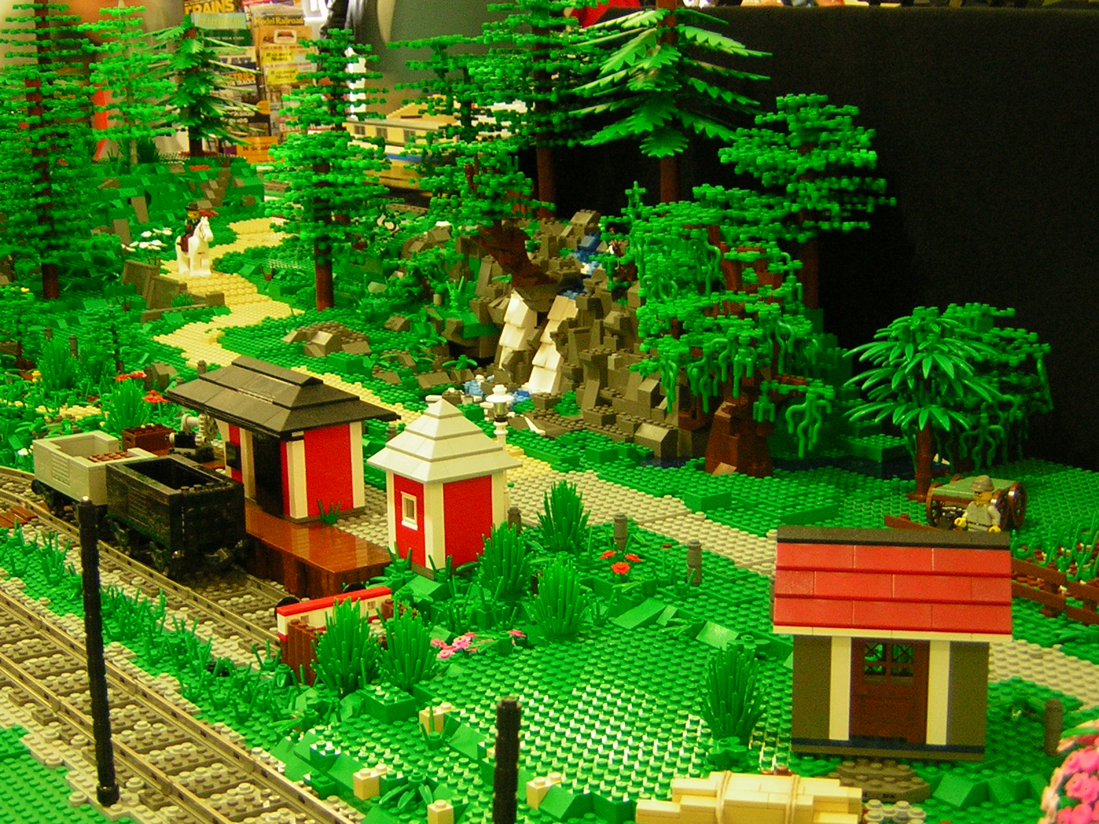 dscn4776.jpg