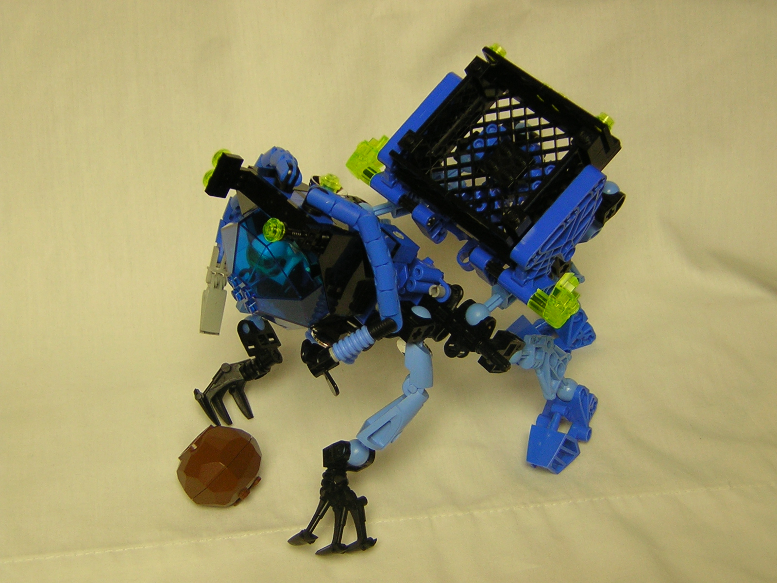 dscn5261.jpg