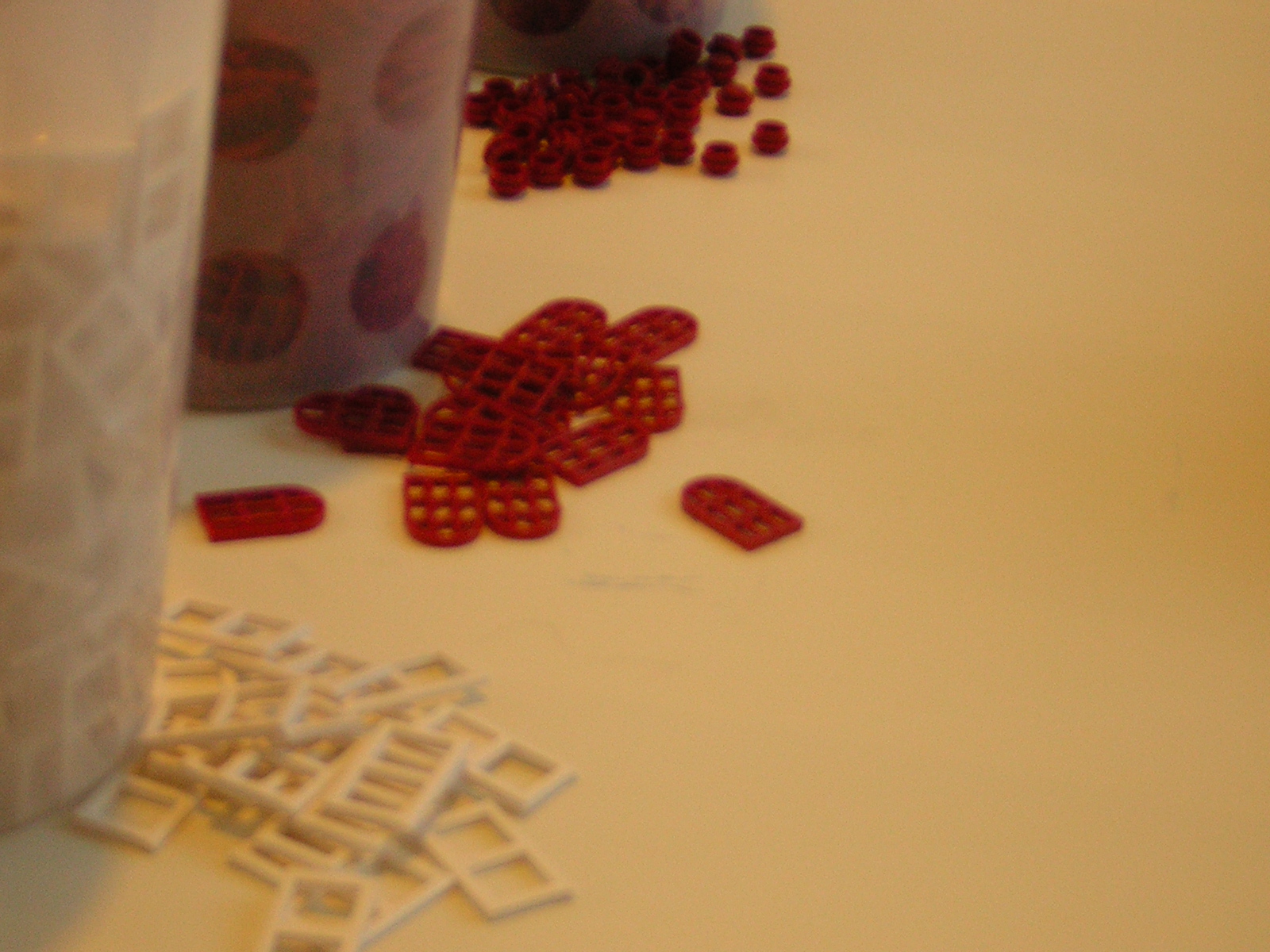 dscn5784.jpg