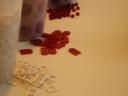 dscn5784.jpg