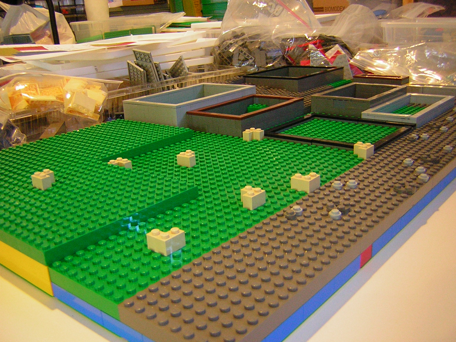 dscn4481.jpg