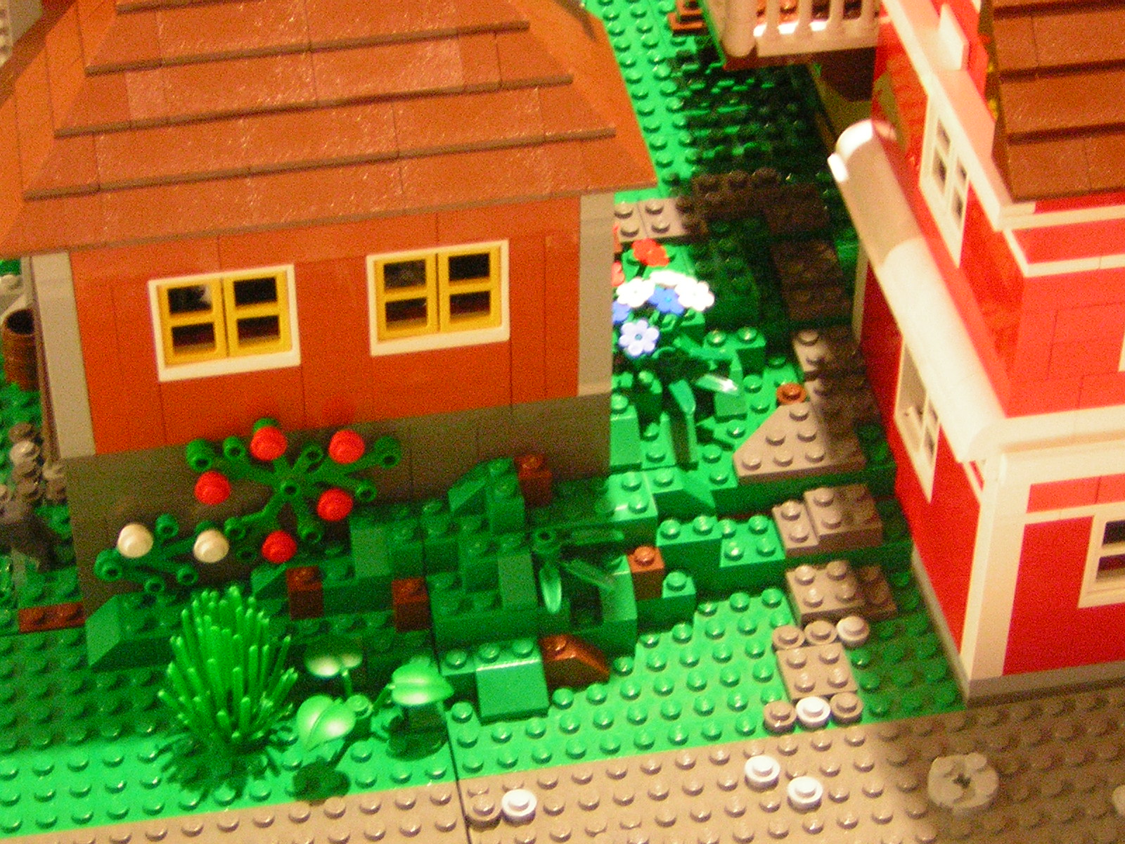 dscn4648.jpg