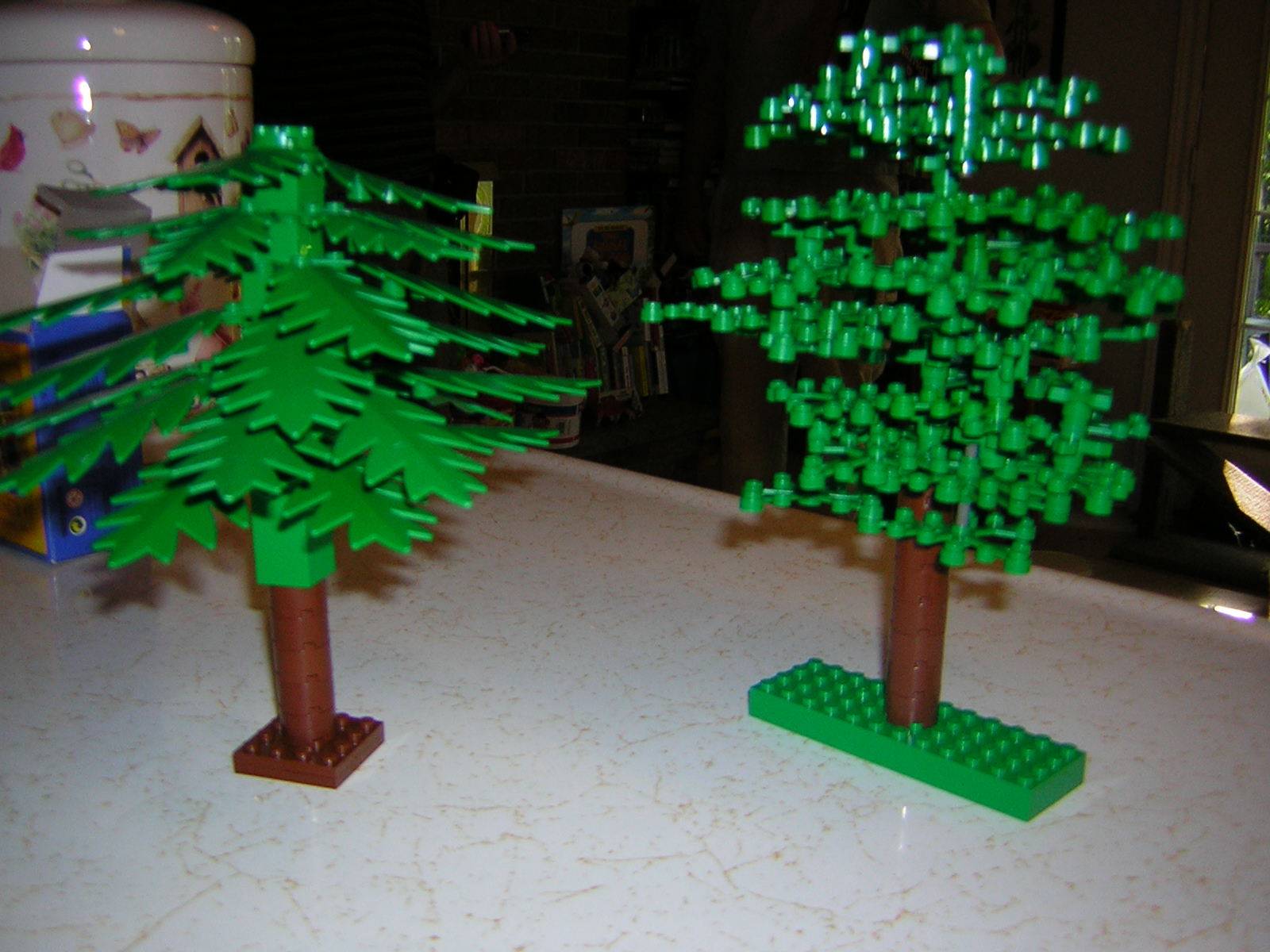 dscn3975.jpg