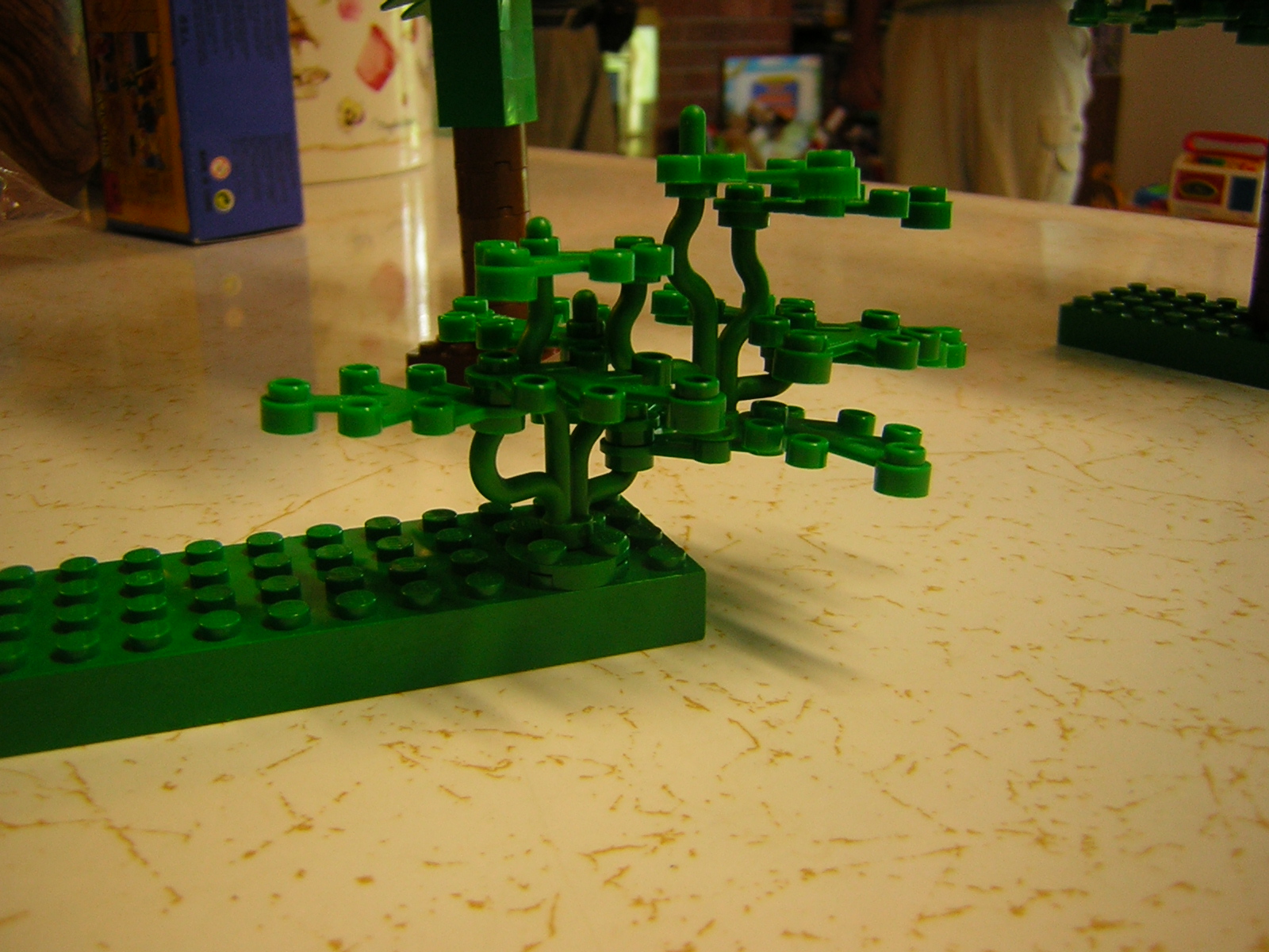 dscn3976.jpg
