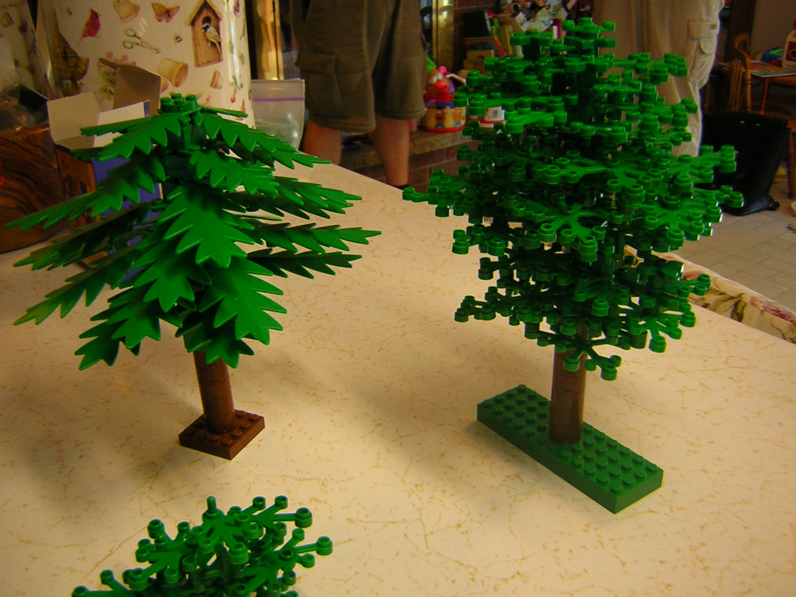 dscn3977.jpg