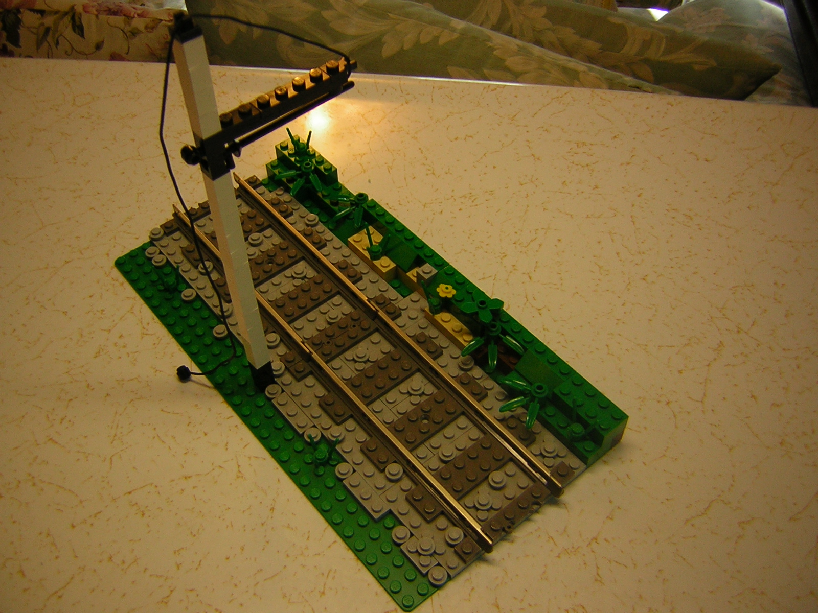 dscn3981.jpg