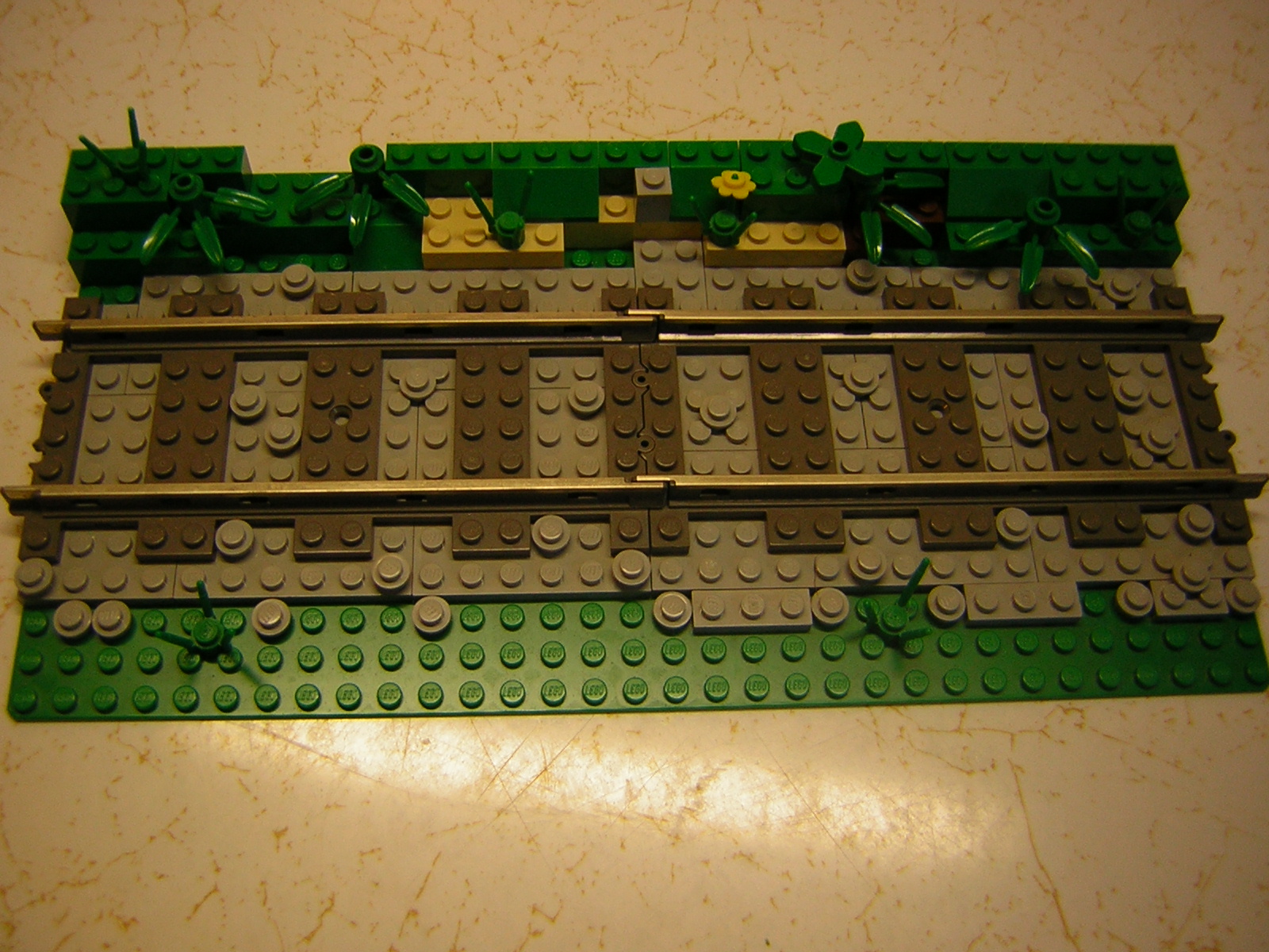 dscn3984.jpg