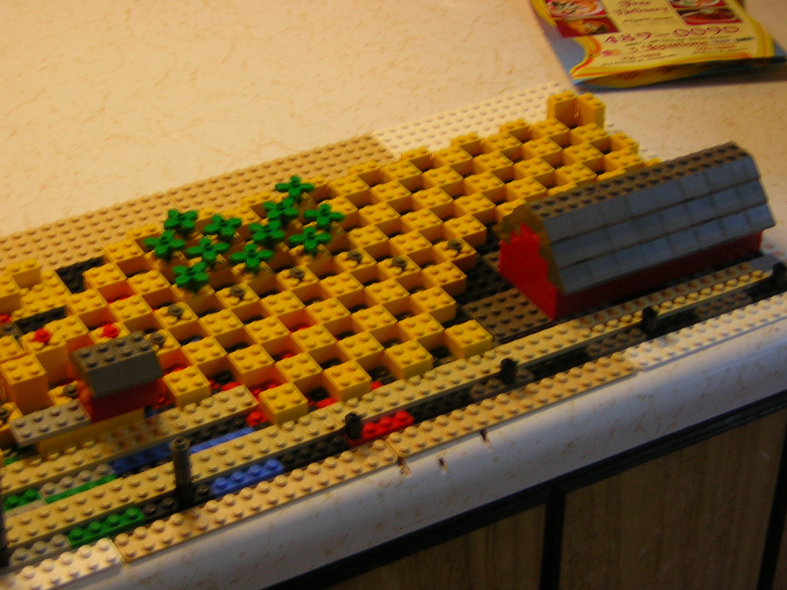 dscn3991.jpg