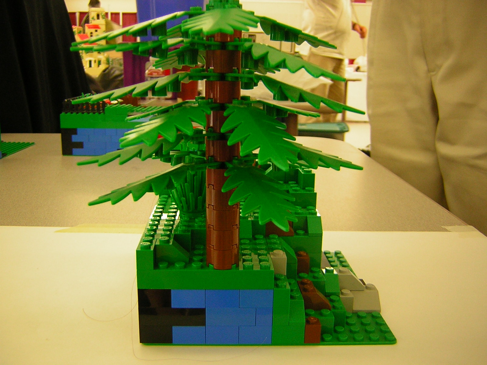 dscn4921.jpg