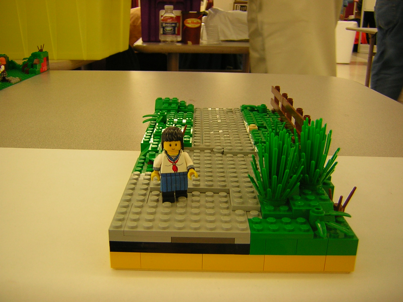 dscn4947.jpg
