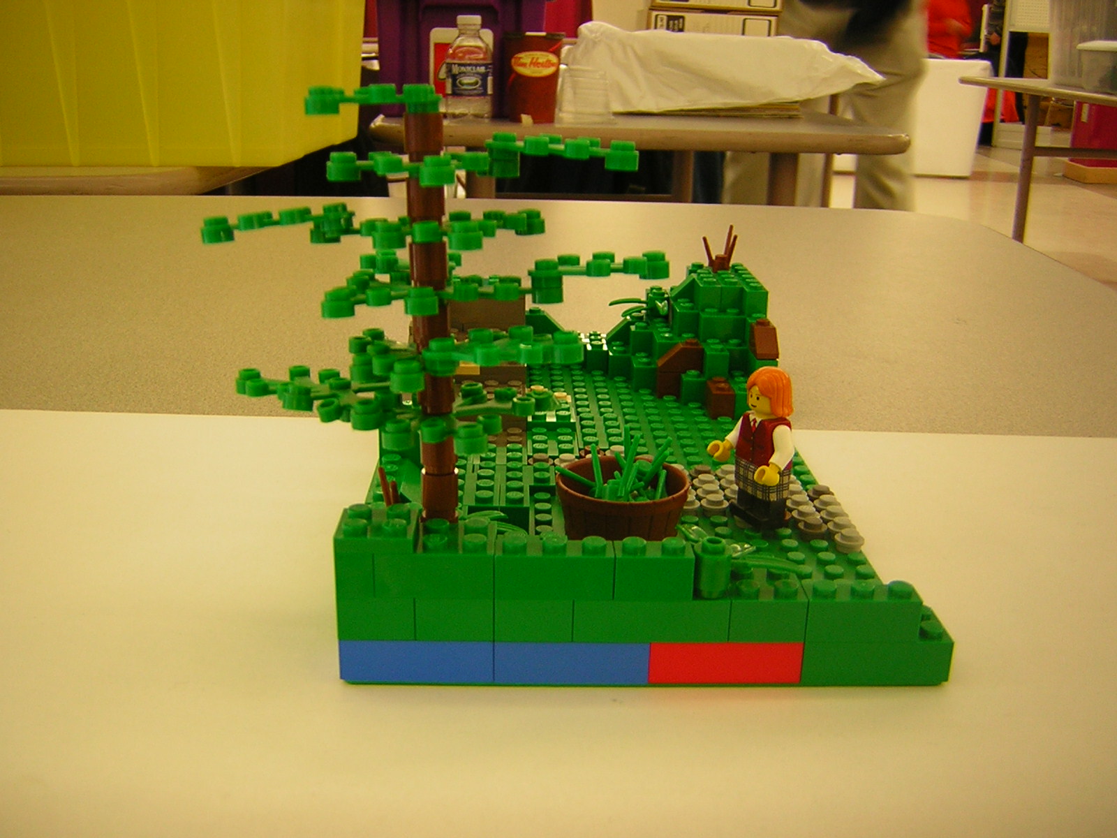 dscn4950.jpg