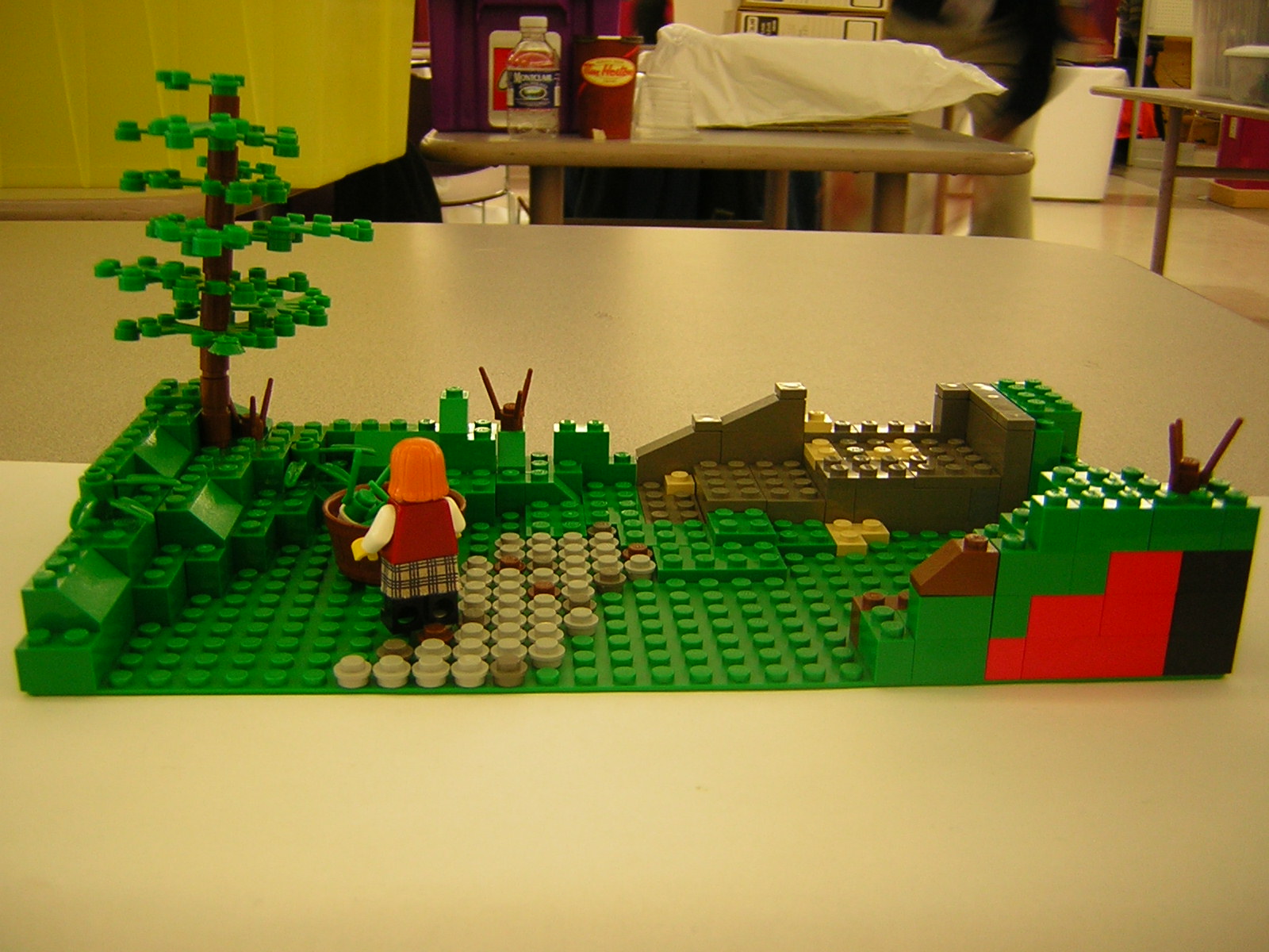 dscn4951.jpg
