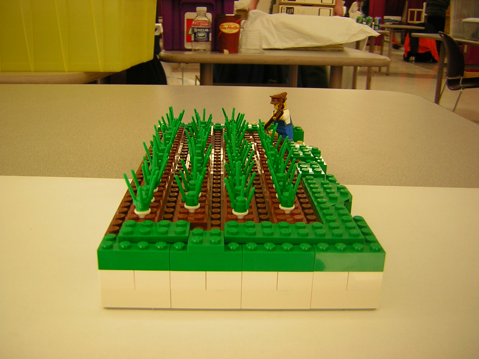 dscn4958.jpg